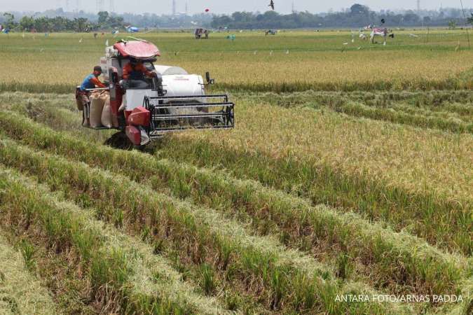 Produksi Beras 2024 dan Perkiraan 2025
