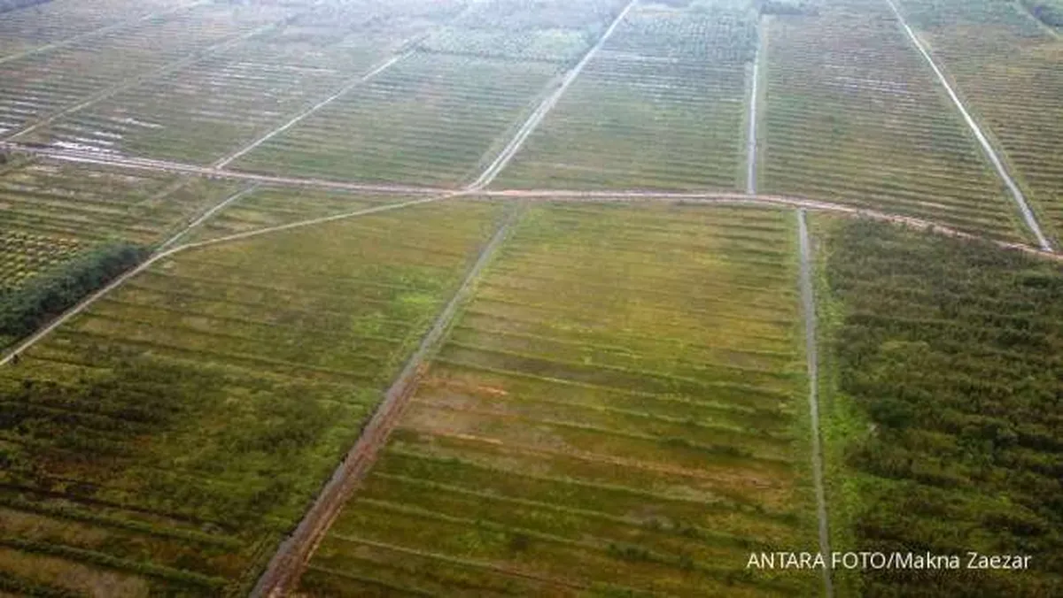 Pengamat Beberkan Penyebab Program Food Estate Tidak Optimal