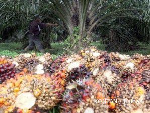 Rencana penerbitan global bonds bikin saham UNSP berlari