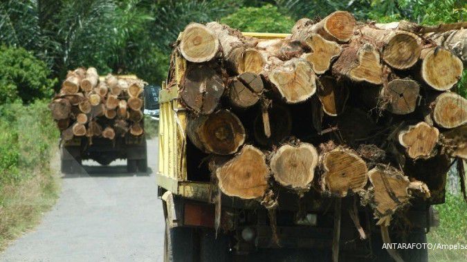 Ekspor kayu masih mengalir ke Eropa