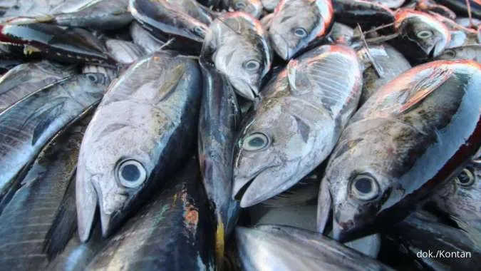 6 Jenis Ikan yang Mengandung Vitamin D Paling Tinggi