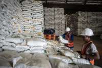 Harga Beras Aman Meski Kemasan Naik