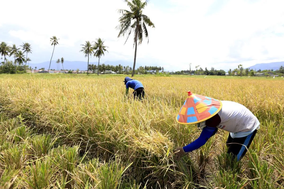Agar Ekonomi Tumbuh 5% pada Kuartal II-2025, Pemerintah Perlu Mendorong Sektor Ini 