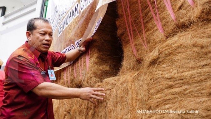 Potensi Industri Sabut Kelapa RI Besar, Tapi Masih Kalah Dengan India dan Sri Lanka