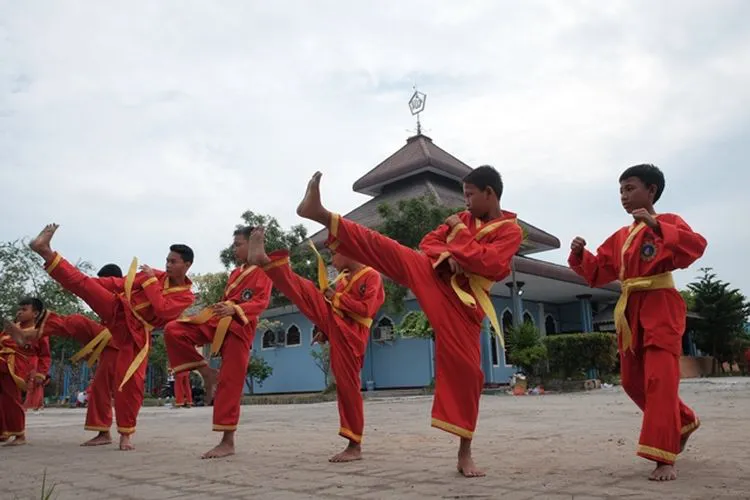 pencak silat