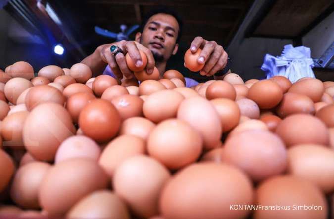 Harga telur ayam mulai datar, simak data terbaru (25/1)