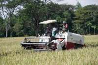 Indonesia Boosts Role of Military in Food Security Initiative 