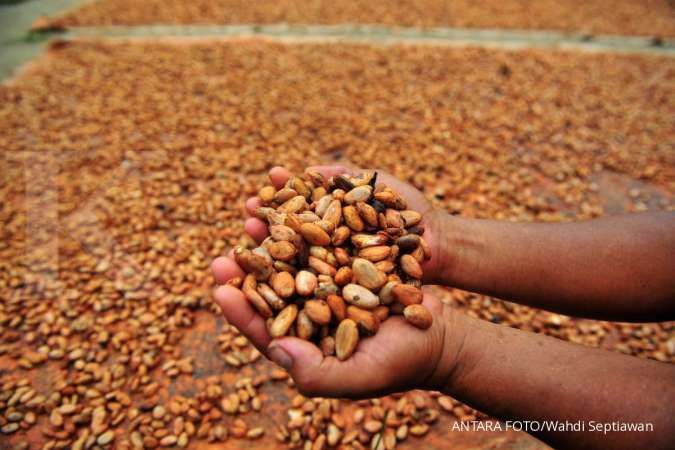Di kala pandemi, industri pengolahan kakao sumbang ekspor US$ 549 juta