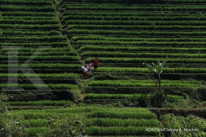 Kementan: PP 81 tahun 2020 tentang pembiayaan petani jadi stimulus bagi petani kecil