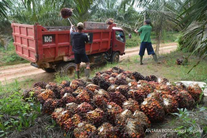 Cisadane Sawit Raya (CSRA) Siapkan Agenda Ekspansi 2026, Simak Penopangnya