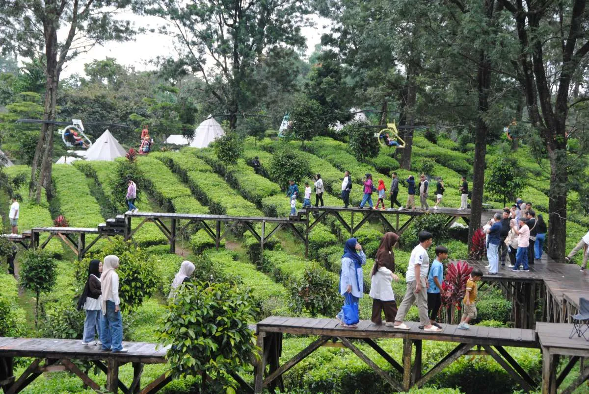Kunjungan Wisman ke Indonesia Turun 11,12% pada November 2025