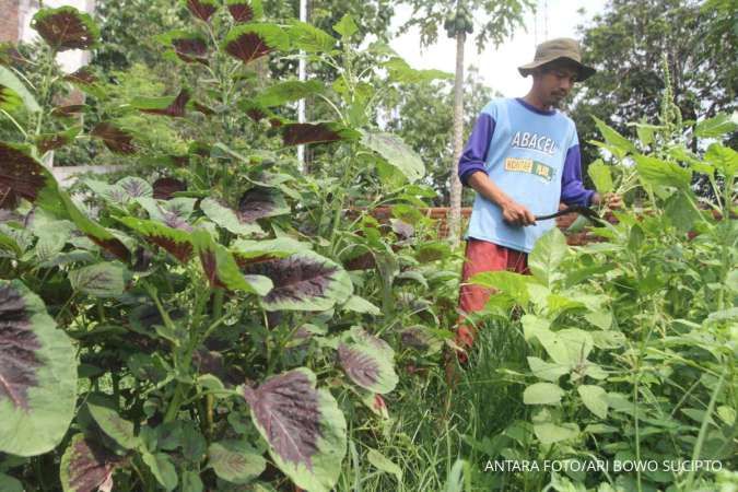 Kementan Gandeng Pemkab Banyuwangi Dorong Generasi Muda Terjun ke Pertanian