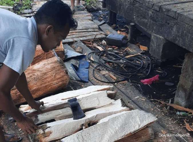 Pengembangan Sagu di Indonesia Masih Banyak Terkendala