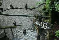 Keseimbangan Bisnis TSI : Antara Konservasi dan Ekowisata Berkelanjutan