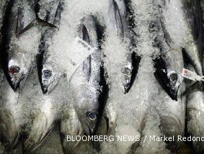Nelayan harus susah-payah berburu tuna di laut