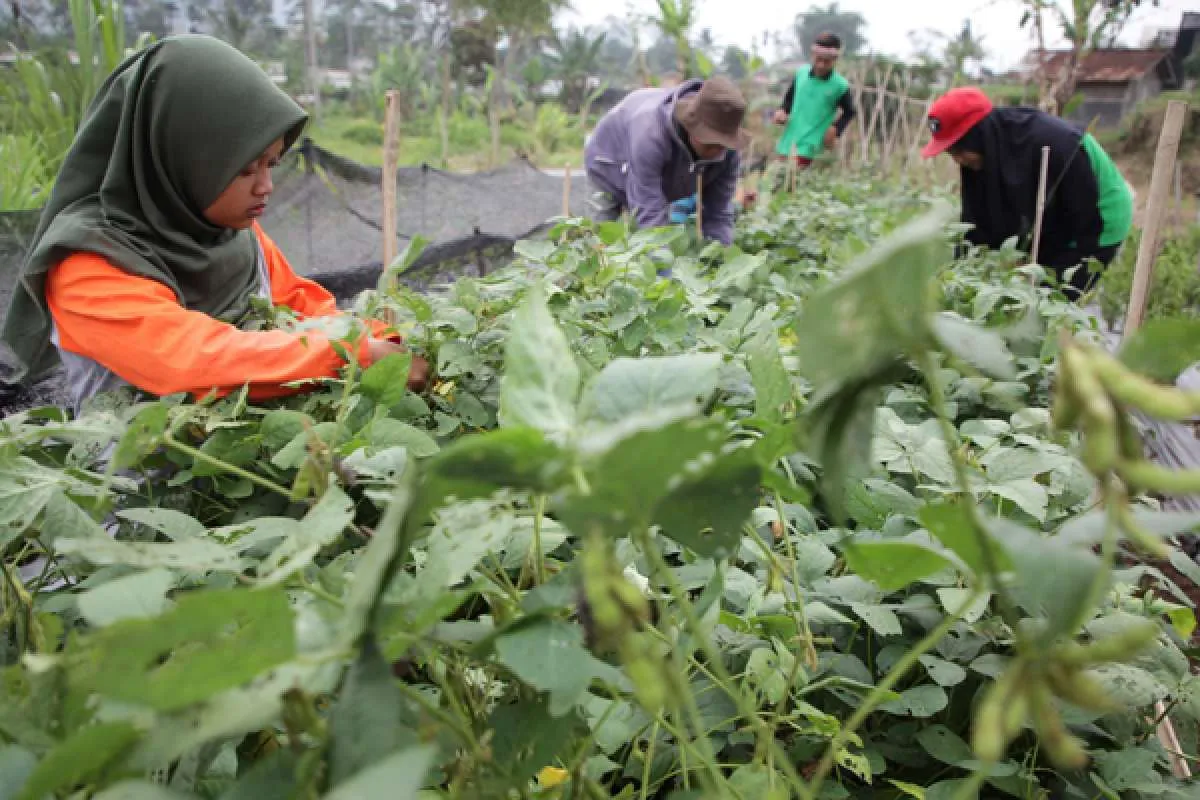 Kementan Dorong Regenerasi Petani Melalui Pendidikan Vokasi