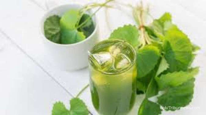 6 Manfaat daun pegagan sebagai obat herbal