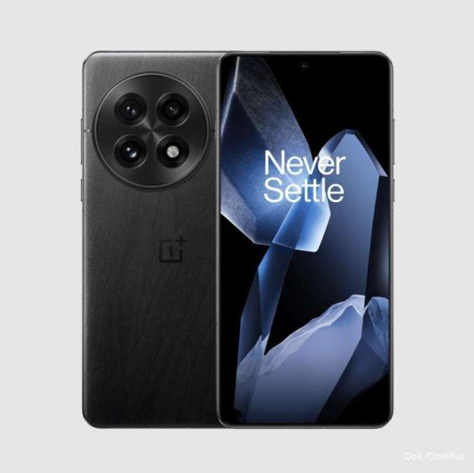 OnePlus 13