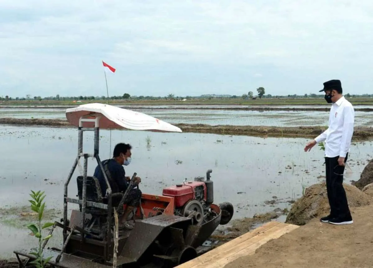 Program Cetak Sawah Belum Bisa Diprediksi Tingkat Keberhasilannya