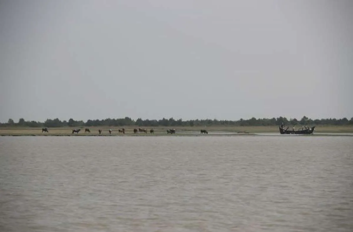 Bangladesh sediakan tempat khusus bagi pengungsi Rohingya di sebuah pulau terpencil