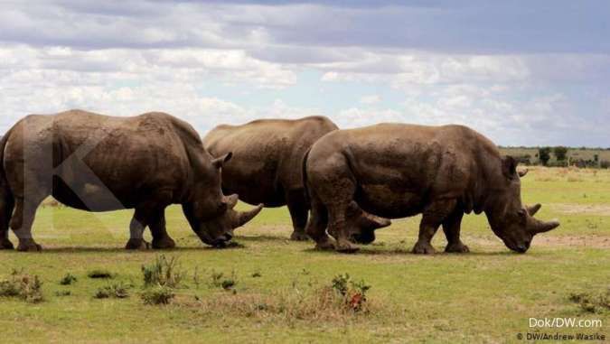 5 Destinasi Indah di Kenya, Wajib Dikunjungi