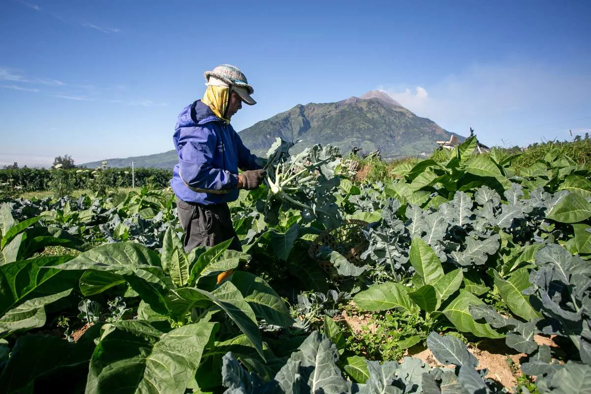 Pertumbuhan Ekonomi Dibidik 5,4%, CORE Ingatkan Jangan Tambah Beban Wajib Pajak
