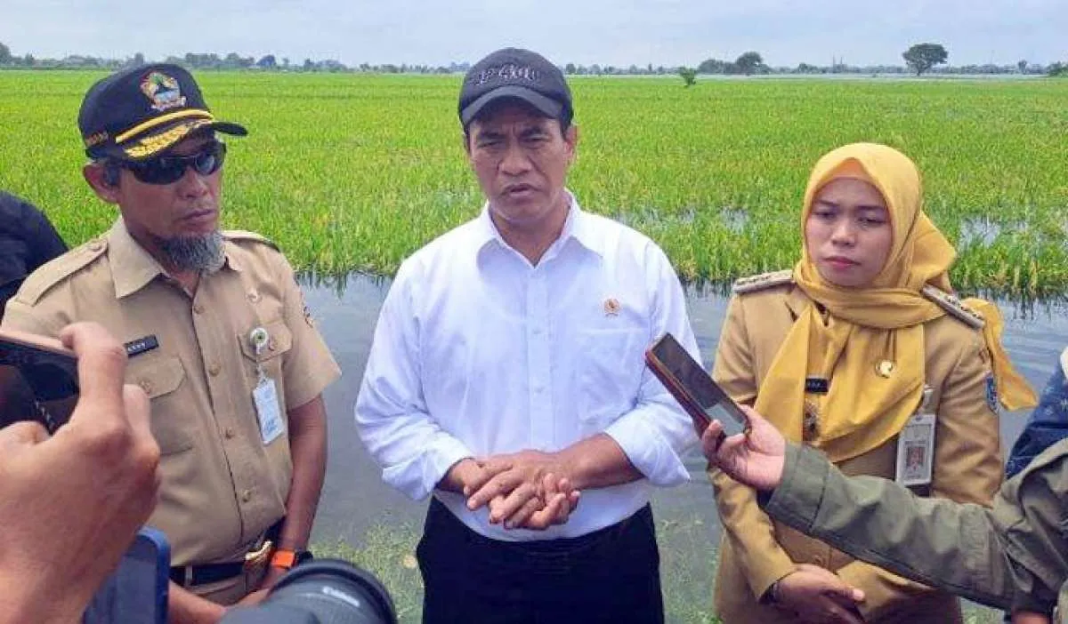 Produksi CSA Demak, Kementan: Stok Beras Jateng untuk Ramadan dan Lebaran Aman