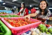 Pemerintah Waspadai Ancaman El Niño terhadap Harga dan Inflasi Pangan