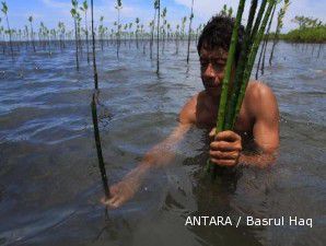 Mangrove RI menjadi percontohan