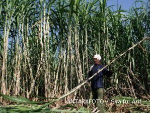 Belum penuhi kewajiban, izin prinsip 251 perusahaan perkebunan dicabut