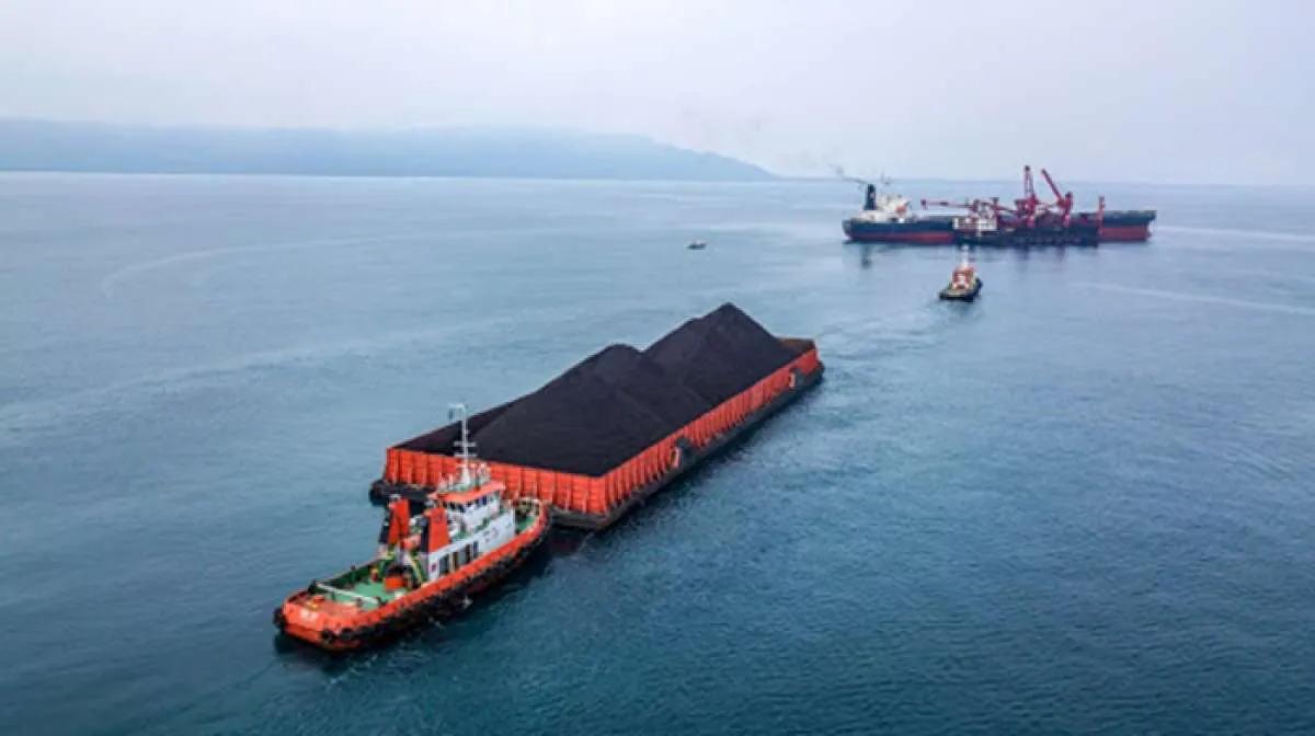 Kinerja Kuartal I-2023 Lesu, Ini Upaya Transcoal Pacific (TCPI) 