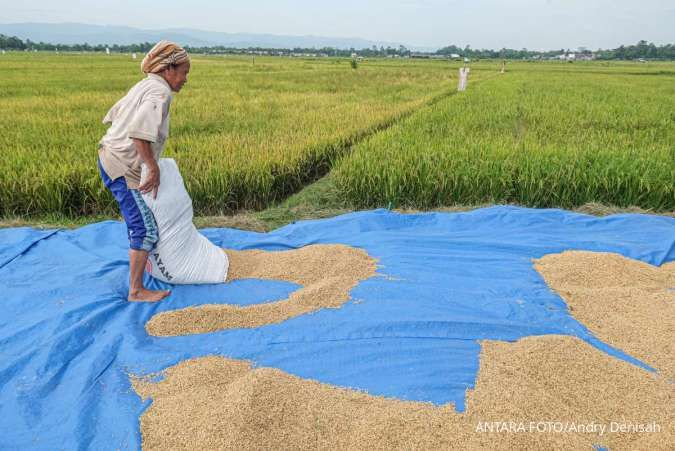 Hingga Pertengahan Maret 2025, Serapan Beras Bulog Capai 300.000 Ton