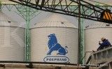 Charoen Pokphand Tebar Dividen Rp 108 per saham, Cek Potensi Yieldnya!