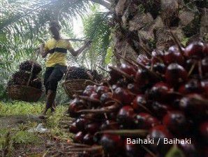 BK CPO Mei 2011 turun jadi 17,5%