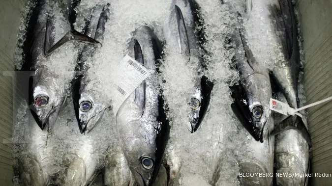 Indonesia suffers huge losses due to fish theft