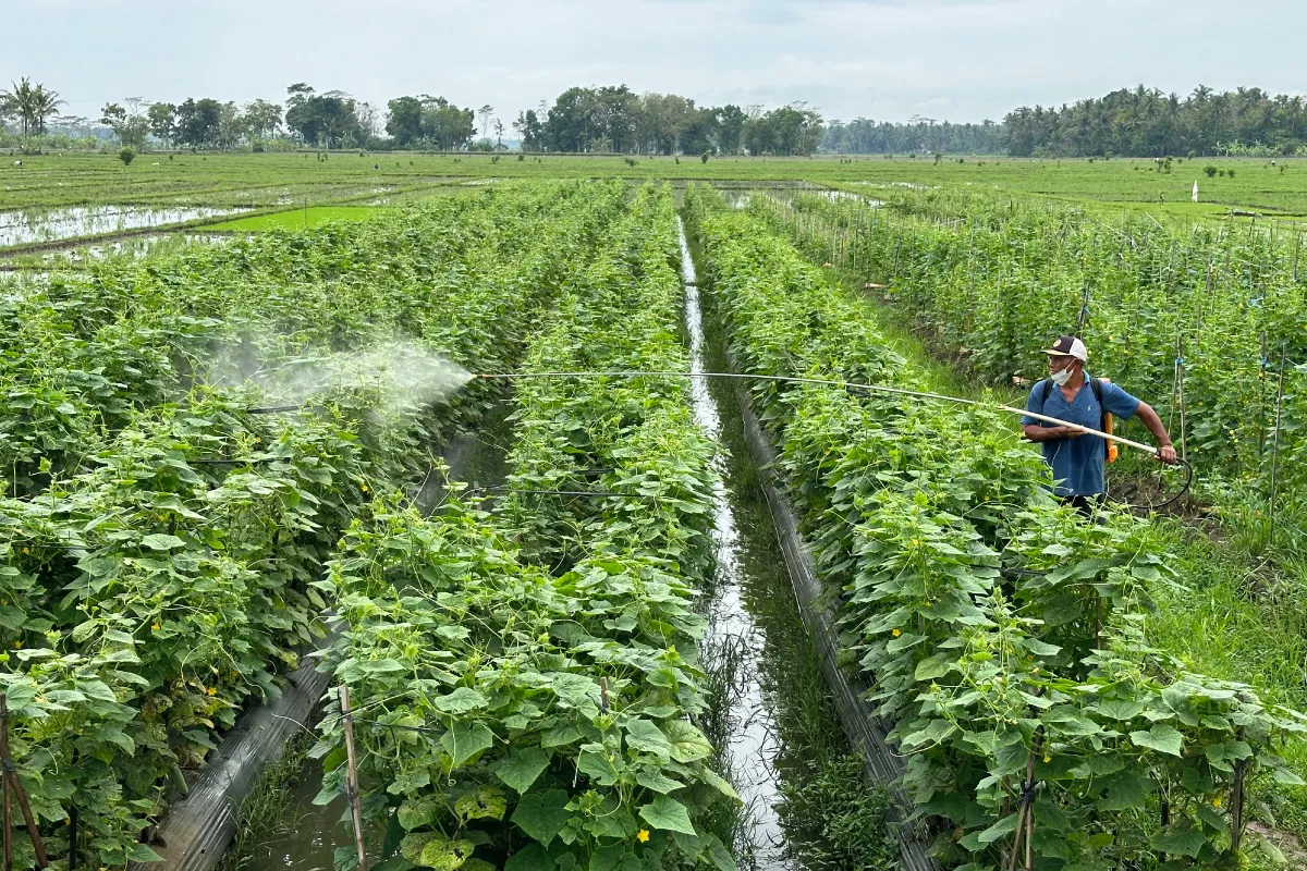 Rezeki Desa BRILian, Warga Megulung Kidul Gampang Dapat Kredit