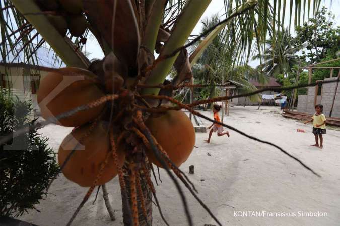 Jeli melihat tawaran investasi kavling kelapa