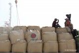 Dividen Indocement (INTP) Rp 259 per saham, Potensi Yield 4,5%