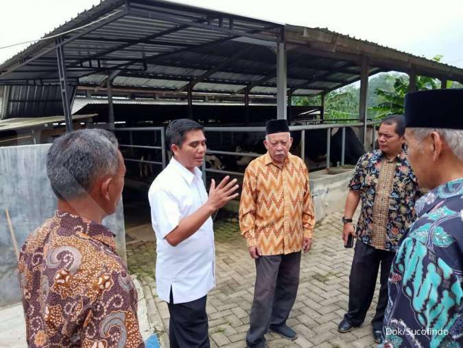 Sucofindo Bina Wirausaha Muda Peternak Sapi