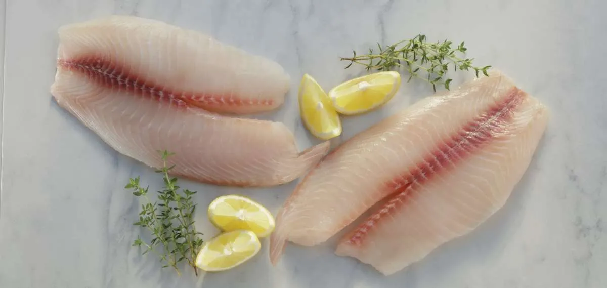 Gandeng Swasta, BRIN Kaji Penyakit Ikan Tilapia untuk Tingkatkan Produksi