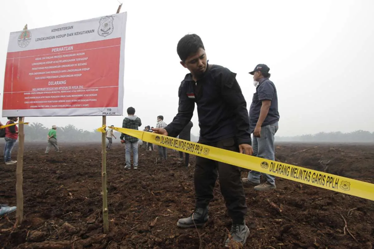 Catat, Gubernur Kalbar: Penyumbang kabut asap terbesar dari lahan konsesi perusahaan