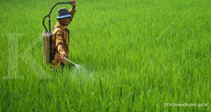 PT Pertani turunkan target penjualan benih padi