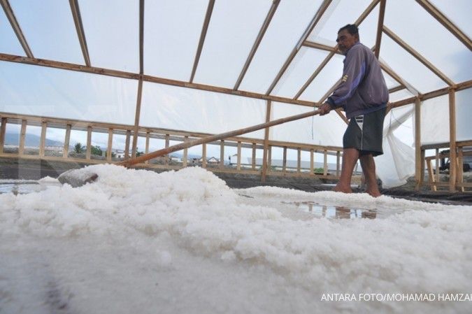Aliansi nelayan: PP impor garam berpotensi mengakomodir mafia impor