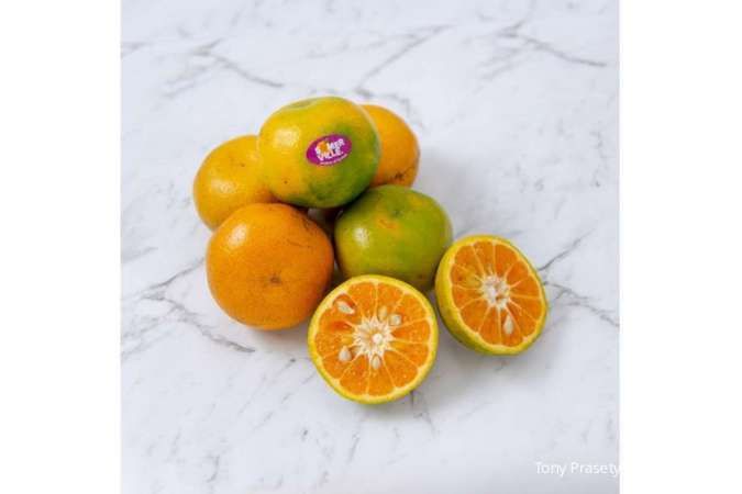 Kontan - Tony Prasetyo Seremonia Online