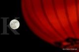 Ada Bluemoon Festival untuk memburu supermoon