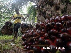 Produksi minyak sawit BWPT naik 8%