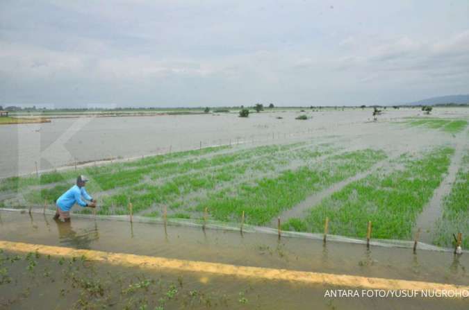 Sebanyak 2.728 Warga Cirebon Kebanjiran Akibat Sungai Ciberes Meluap