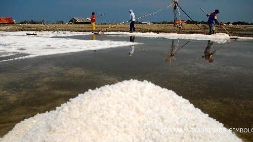 Impor garam per April baru 72% dari kuota