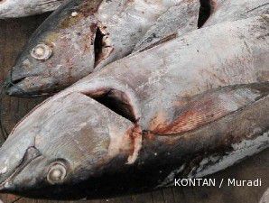 Harga tuna menyusut, 800 kapal nelayan berhenti berburu tuna