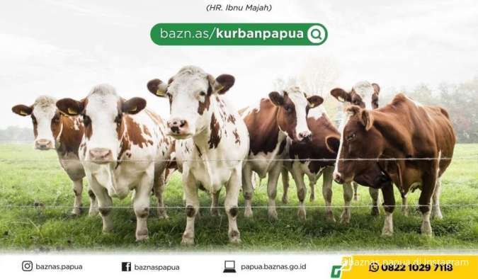 Harga Kambing dan Sapi Kurban di Provinsi Papua Tahun 2025, Termurah Rp 2,65 Juta